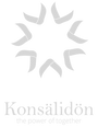 konsalidon